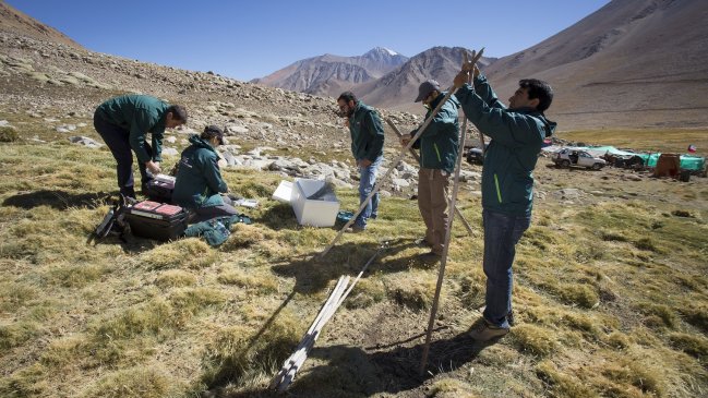 Con trampas se detectarán insectos que enfermen al ganado en la Región de Coquimbo