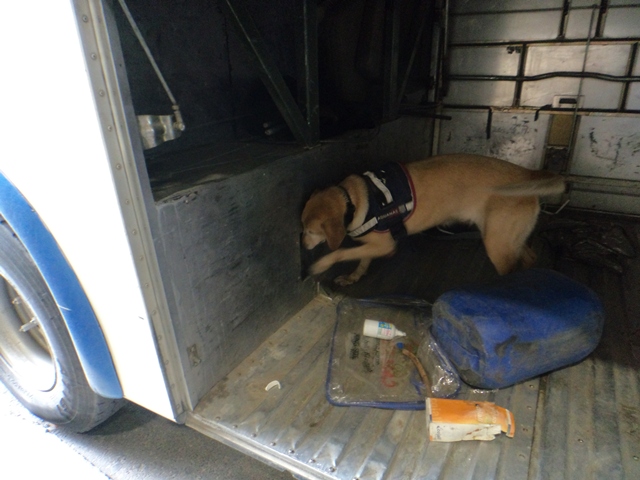 Colchane: Aduanas detectó que bus transportaba más de 370 millones en droga