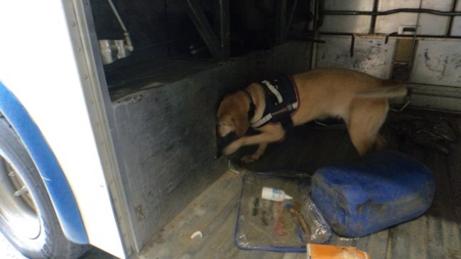 Colchane: Aduanas detectó que bus transportaba más de 370 millones en droga