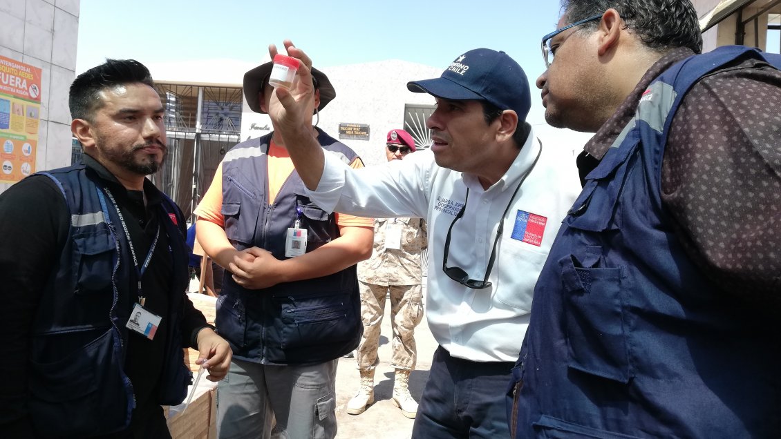 Iquique: Buscan evitar la presencia del mosquito Aedes en cementerio