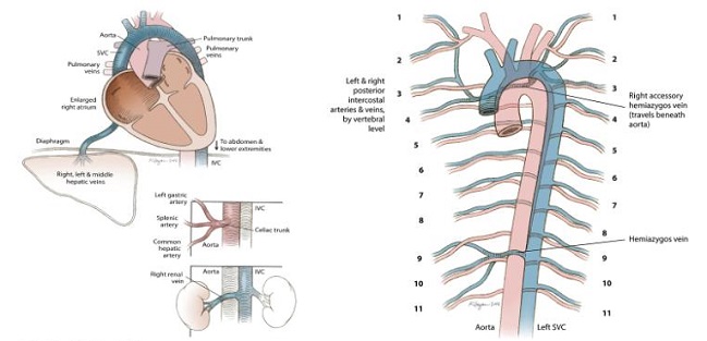 Imagen foto_00000002
