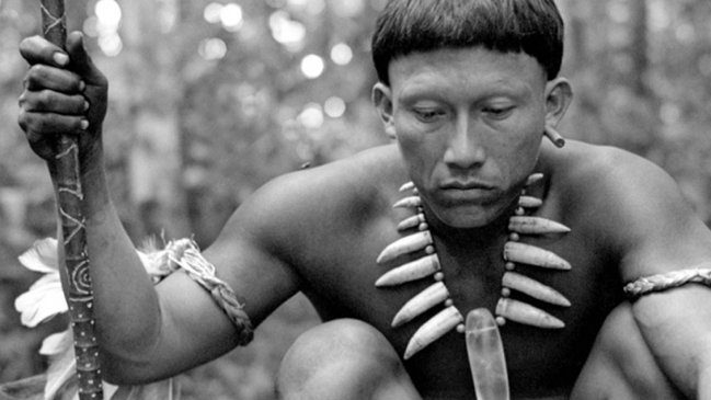 Ciro Guerra presidirá la Semana de la Crítica en Cannes