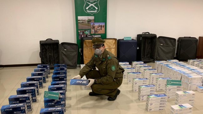 Coquimbo: Perro policial permitió la detección de 5.000 cajetillas de cigarrillos de contrabando