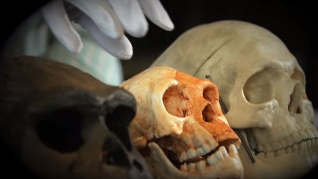 Descubren restos de una nueva especie humana en caverna de Filipinas