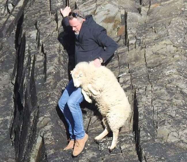 Imagen foto_00000002