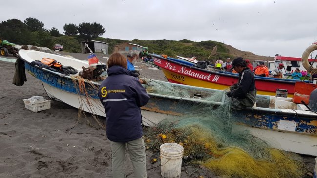 Maule: Sernapesca promete 
