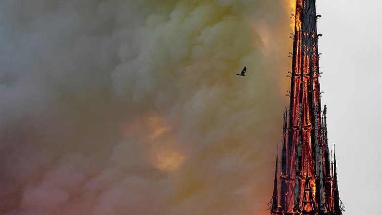 Imagen foto_00000002