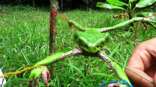 San Felipe: Mujer murió intoxicada tras rito de 