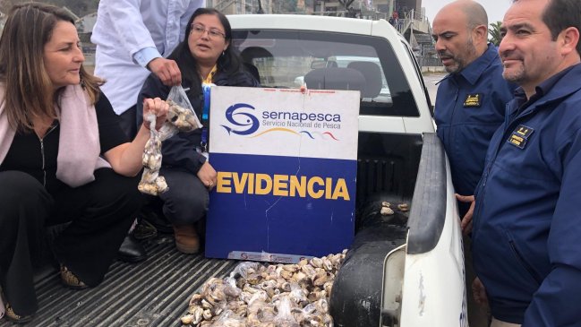 PDI encontró locos en veda en Caleta Portales de Valparaíso