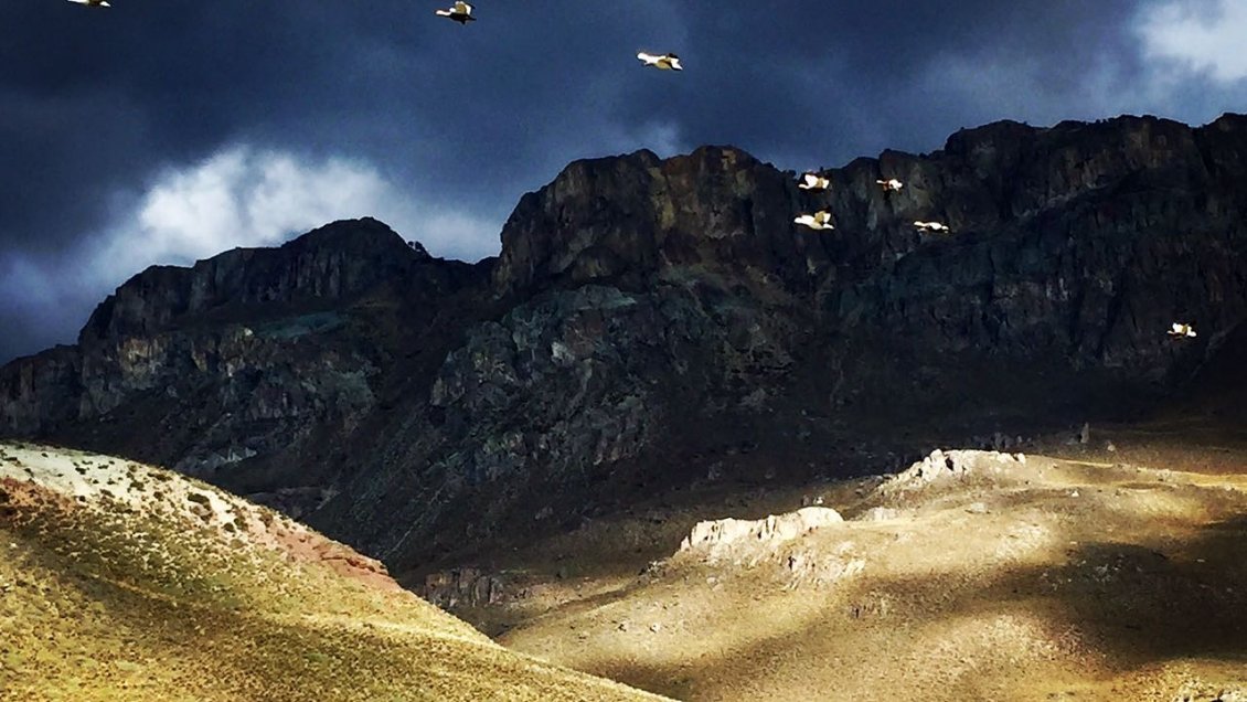 El 29 de abril se concretará el traspaso del Parque Patagonia al Estado chileno