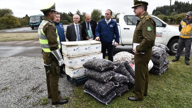 Los Ríos: Carabineros decomisó media tonelada de pescados y mariscos en control carretero