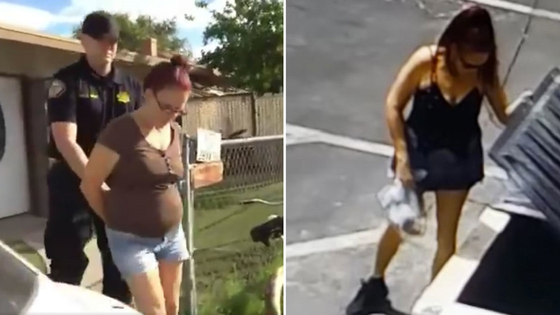 Arrestan a mujer captada lanzando siete cachorros a la basura