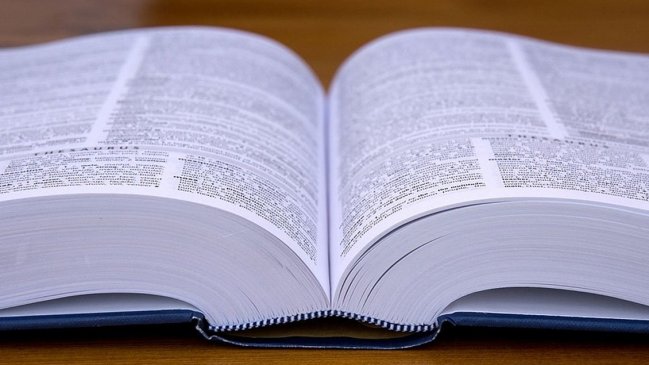 Editorial Universitaria sacó de circulación diccionario que asocia la homosexualidad con la pederastia