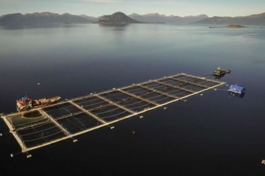 Corte de Punta Arenas detiene comienzo de faena de salmonera en el Canal Beagle