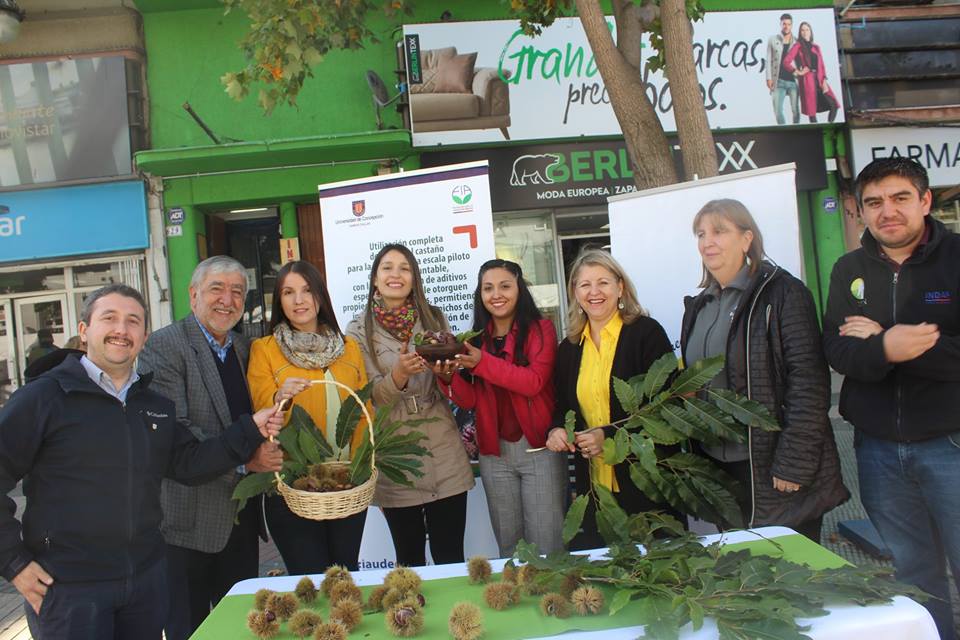 Imagen foto_00000002