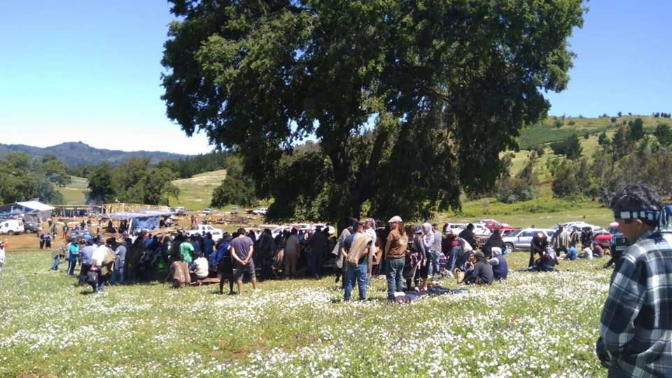 Comunidades mapuche afirman que en mayo asistirán a sesión especial en la Cámara