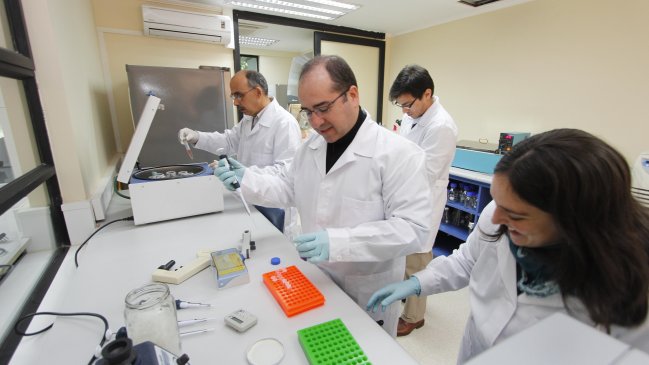UCM participará en investigación internacional para erradicar el cáncer de vesícula