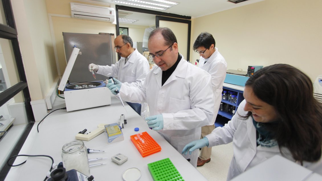 UCM participará en investigación internacional para erradicar el cáncer de vesícula