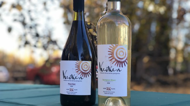 Apuestan por hacer en Aysén el vino más austral del mundo