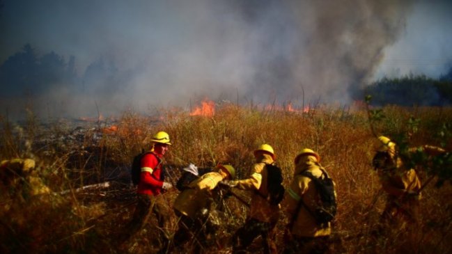 Hombre fue formalizado por quemar sin querer 70 hectáreas y 3.500 vides