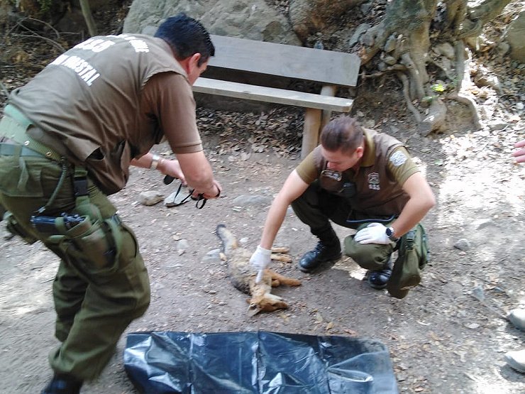 Imagen foto_00000018