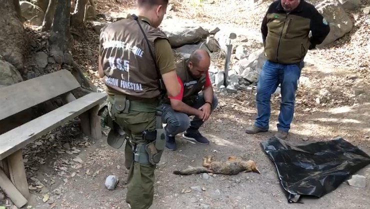 Imagen foto_00000033