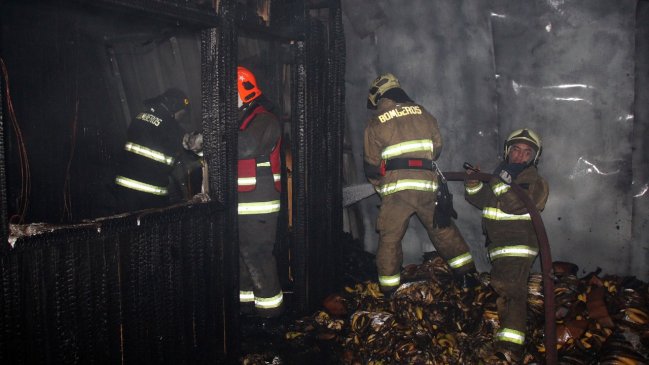 Incendio destruyó 22 locales comerciales en la Vega Modelo de Temuco