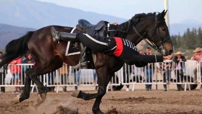 Cuadro Negro del Ejercito presentará por primera vez en Arica sus acrobacias a caballo