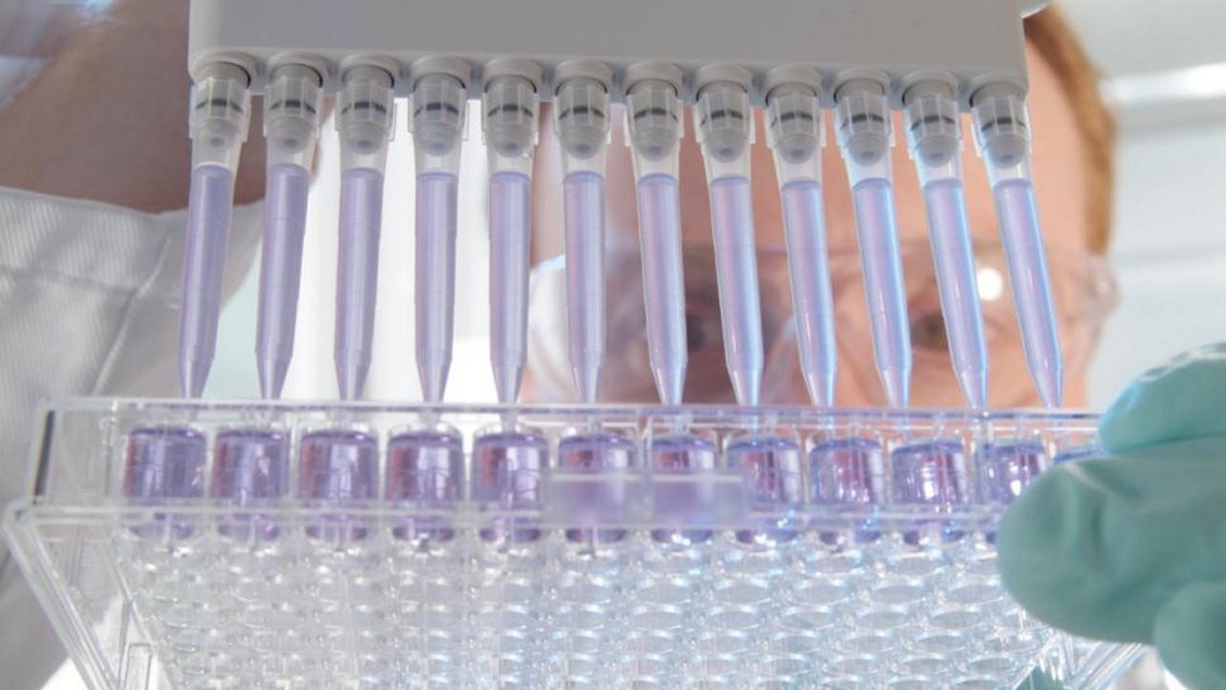 Médicos chilenos desarrollaron 