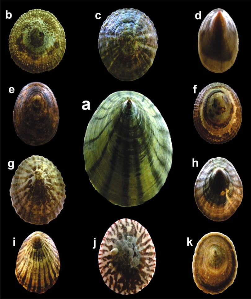 Imagen foto_00000001