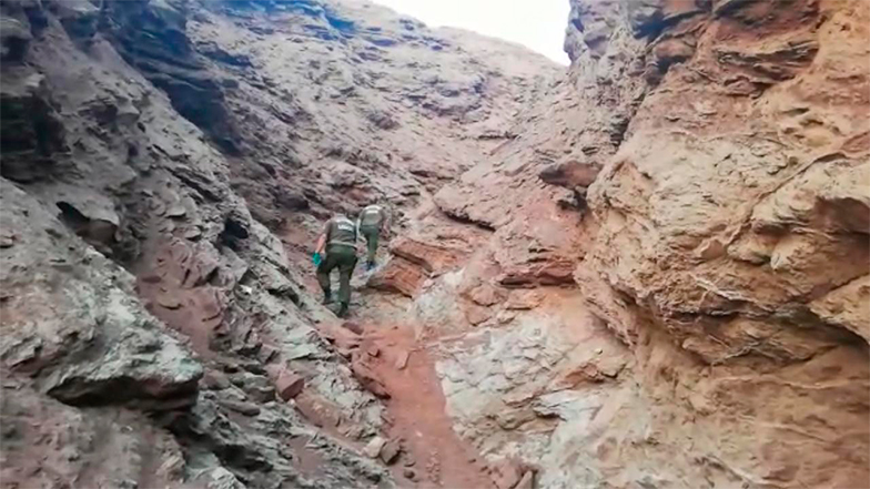 Imagen foto_00000033