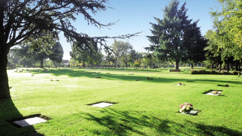 Parque del Sendero deberá pagar más de 13 millones de pesos a un deudo por profunda caída