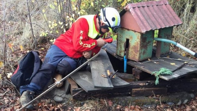 Intensifican búsqueda de anciano perdido desde hace nueve días en Quillón