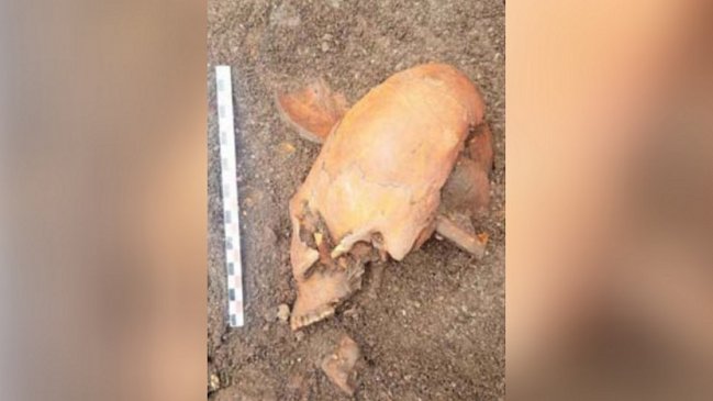  Misterioso cráneo alargado fue descubierto en Arica  