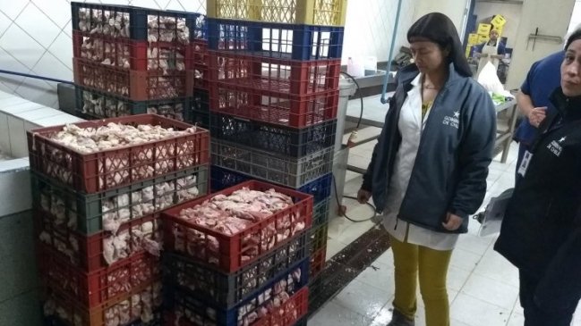 Decomisan 1.640 kilos de carne en mal estado desde fábrica de cecinas en Chillán
