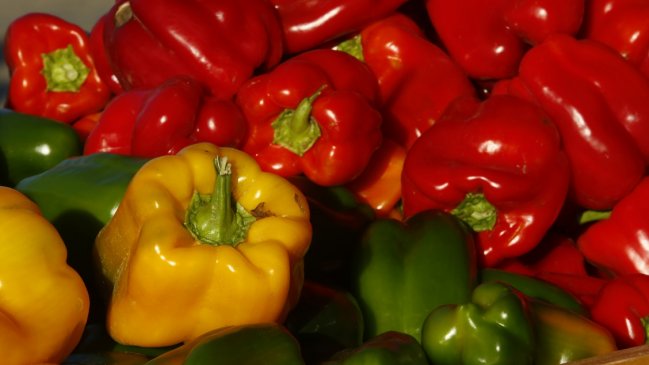 G20 se comprometió a reducir el desperdicio de alimentos