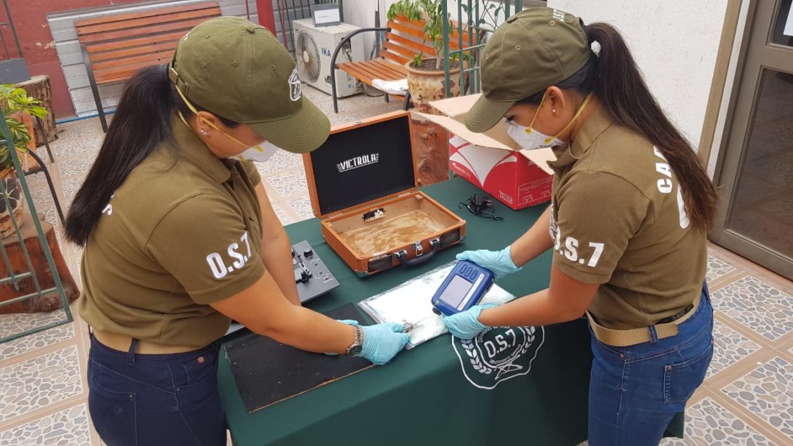 Arica: A través de encomiendas trasladaban paquetes con cocaína hacia Holanda