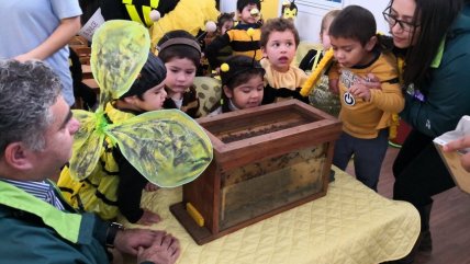  Párvulos aprendieron sobre las abejas y las observaron  