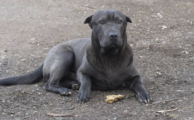 Imagen foto_00000002