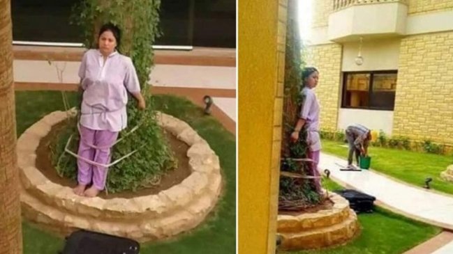 Denuncian que empresario amarró a un árbol a asesora del hogar por descuidar los muebles