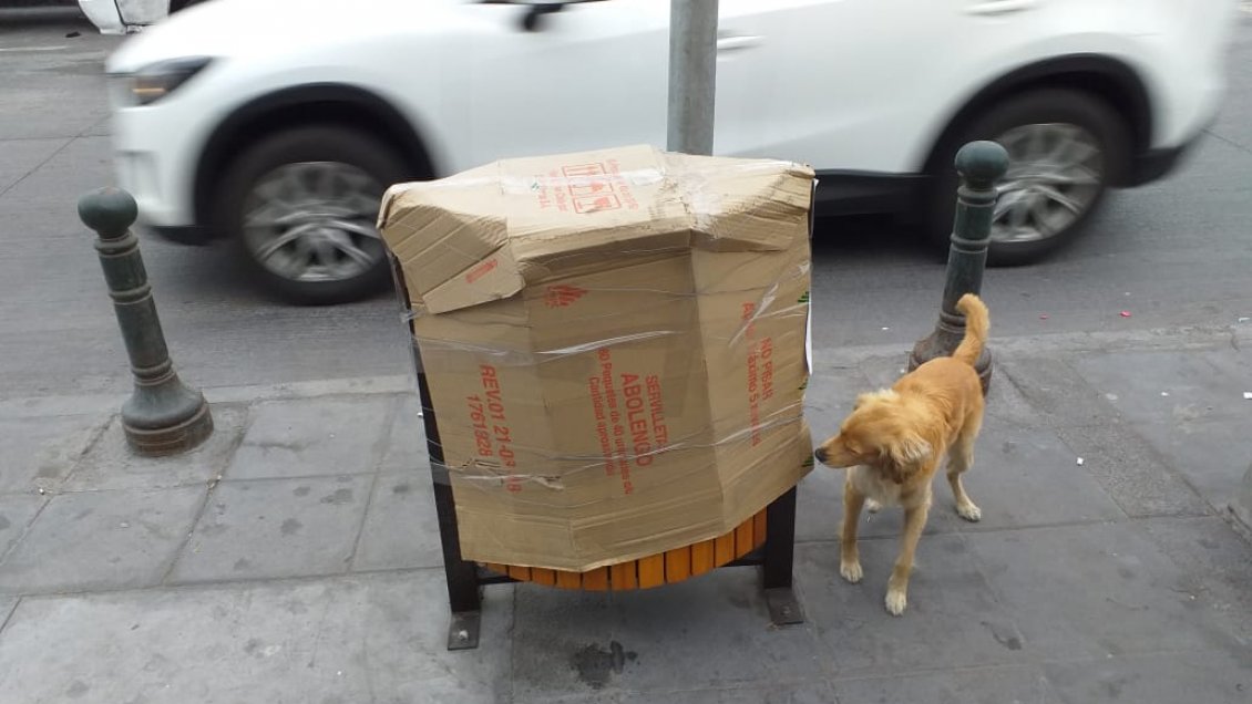 Paños con sangre y gatos muertos colmaron la paciencia de dos vecinos de Iquique