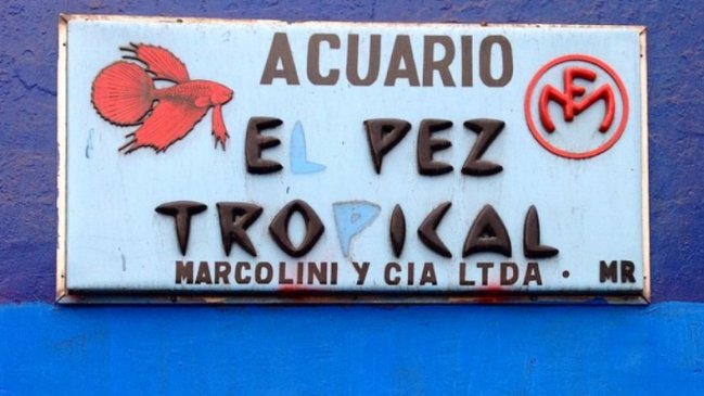 Denuncian el robo de uno de los carteles más emblemáticos de Providencia