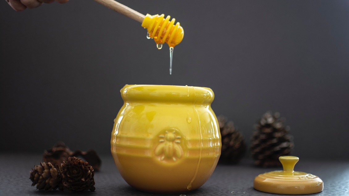 Así se produjo, en el Biobío, el sorpresivo hallazgo de miel única en el mundo