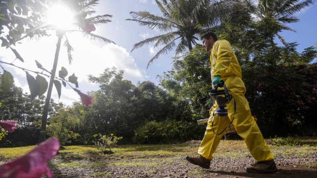 Declaran alerta sanitaria en Rapa Nui por casos de dengue