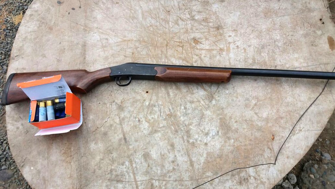 EEUU: Estudiante fue detenido por desenfundar una escopeta en una escuela de Oregón