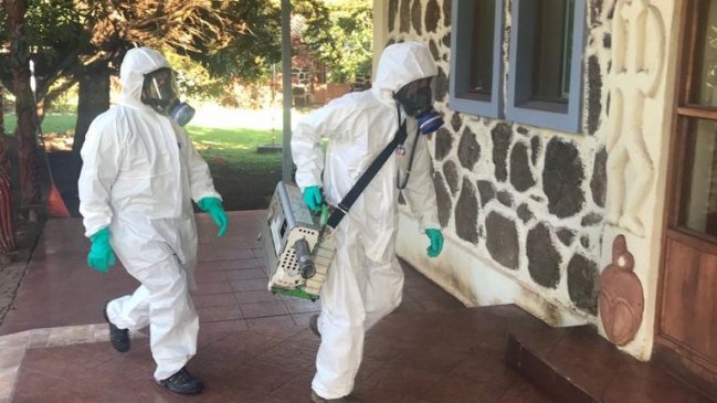 Alcalde de Rapa Nui acusó improvisación en Alerta por dengue