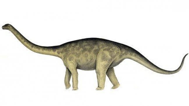 Descubren que dinosaurio de 40 toneladas caminaba como si usara tacones