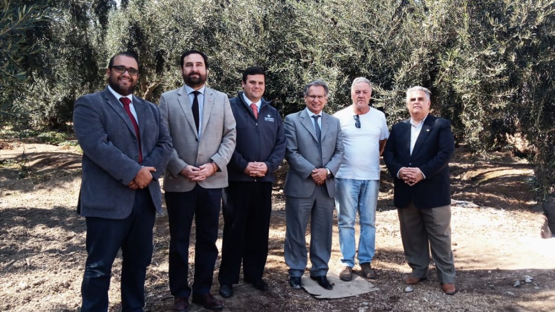 Autoridades de Arica discutieron los alcances del proyecto TPP 11 junto a empresarios