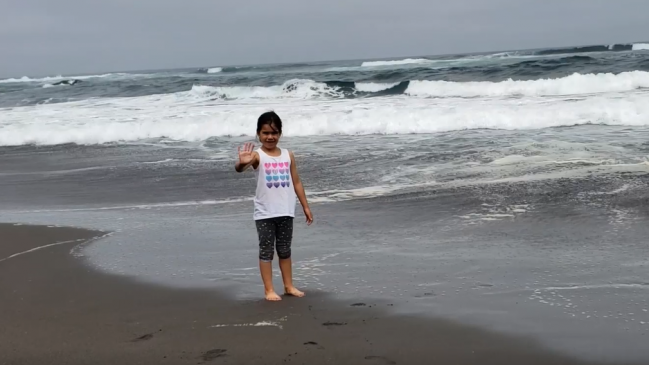 TC declara inadmisible recurso contra acceso a playa Mónaco en Pichilemu