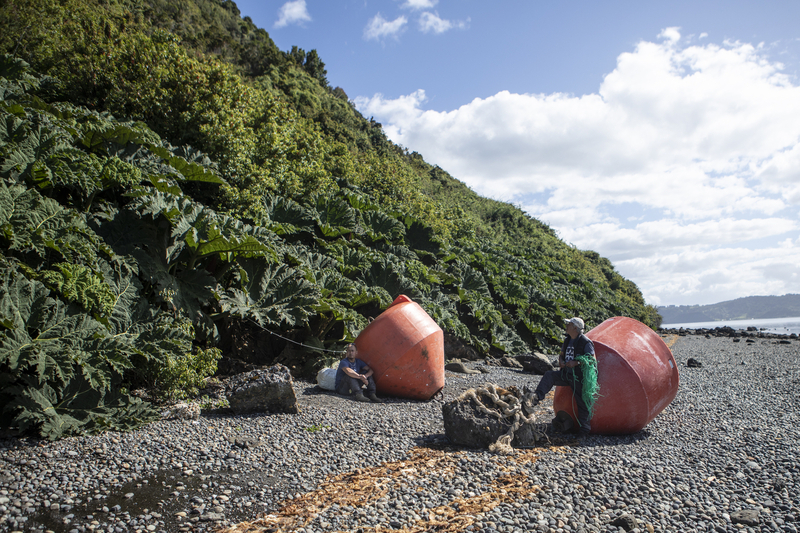 Imagen foto_00000004